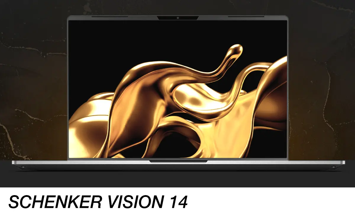 schenkervision